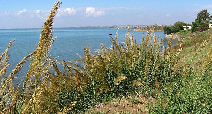 Hazine arazileri yatırıma ve istihdama ilaç oldu