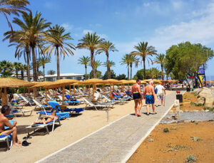 Çeşme Paraliya Beach Club, ağaç kestiği için kapatıldı