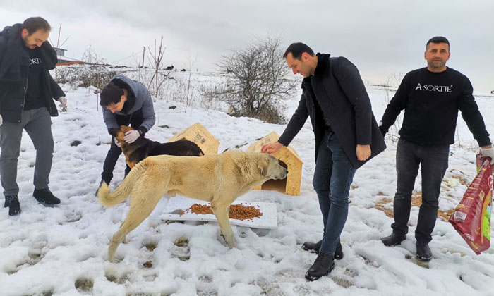 Depremden etkilenen hayvanlara barınak!