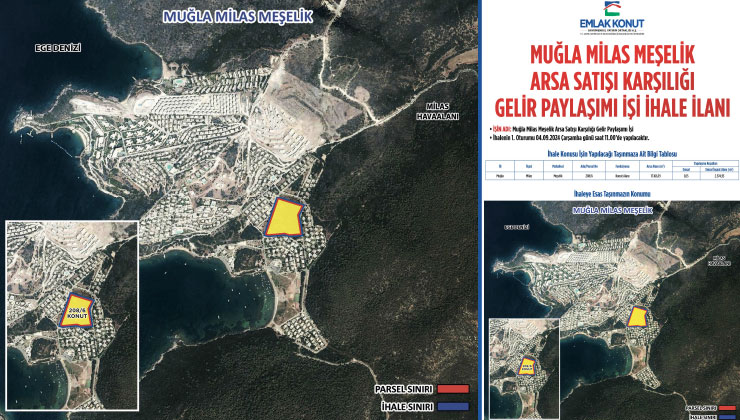 Milas Meşelik ihalesinin ikinci oturumu 16 Eylül’de